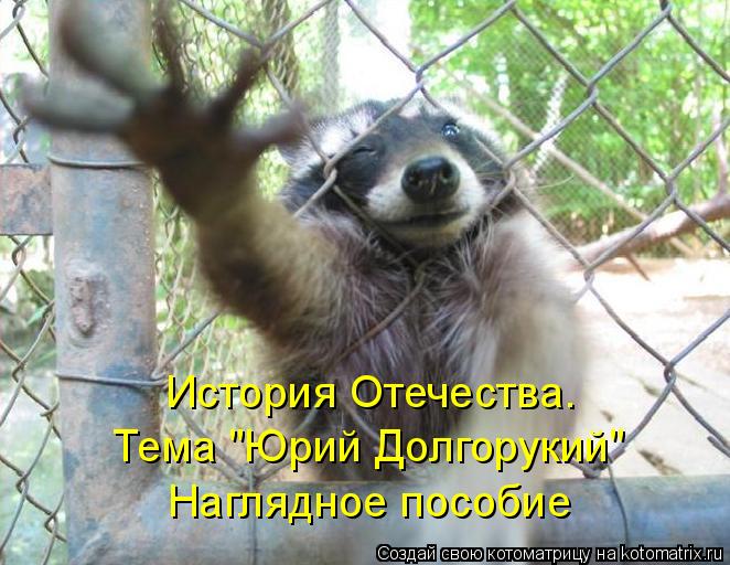 История Отечества. Тема "Юрий Долгорукий" Наглядное пособие... Котоматрица: История Отечества. Тема "Юрий Долгорукий" Наглядное пособие