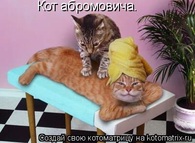Кот абромовича.... Котоматрица: Кот абромовича.