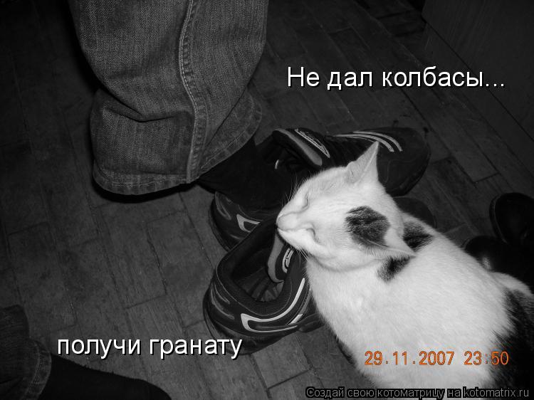 Не дал колбасы... получи гранату... Котоматрица: Не дал колбасы... получи гранату
