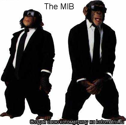 The MIB... Котоматрица: The MIB