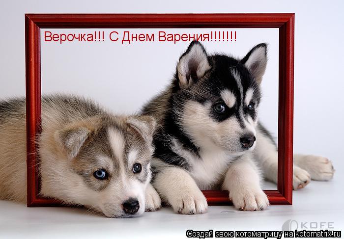 Верочка!!! С Днем Варения!!!!!!!... Котоматрица: Верочка!!! С Днем Варения!!!!!!!