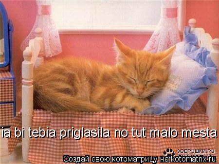 ia bi tebia priglasila no tut malo mesta... Котоматрица: ia bi tebia priglasila no tut malo mesta