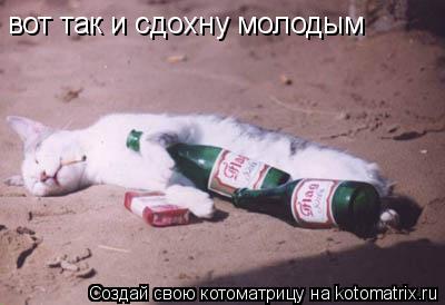 вот так и сдохну молодым... Котоматрица: вот так и сдохну молодым