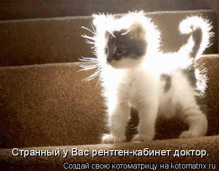Странный у Вас рентген-кабинет доктор.... Котоматрица: Странный у Вас рентген-кабинет доктор.