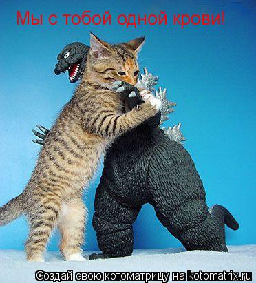 Мы с тобой одной крови!... Котоматрица: Мы с тобой одной крови!