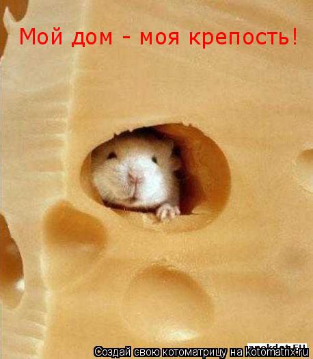 Мой дом - моя крепость!... Котоматрица: Мой дом - моя крепость!