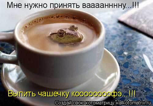 Мне нужно принять ваааанннну...!!! Выпить чашечку коооооооофэ...!!!... Котоматрица: Мне нужно принять ваааанннну...!!! Выпить чашечку коооооооофэ...!!!