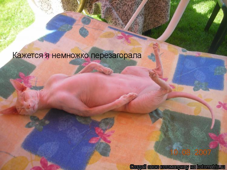 Кажется я немножко перезагорала... Котоматрица: Кажется я немножко перезагорала