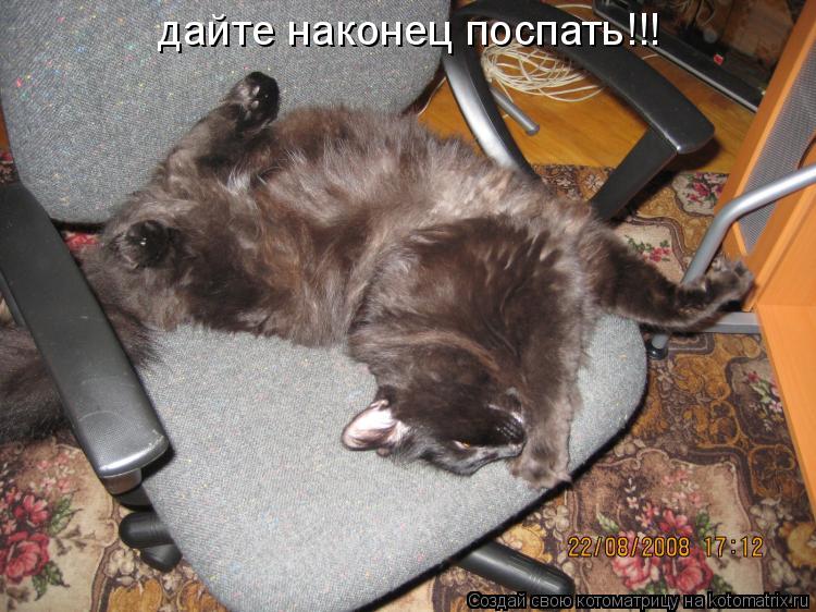 дайте наконец поспать!!!... Котоматрица: дайте наконец поспать!!!