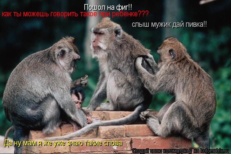 слыш мужик дай пивка!! Пошол на фиг!! как ты можешь говорить такое при ребёнке??? Да ну мам я же уже ... Котоматрица: слыш мужик дай пивка!! Пошол на фиг!! как ты можешь говорить такое при ребёнке??? Да ну мам я же уже знаю такие слова