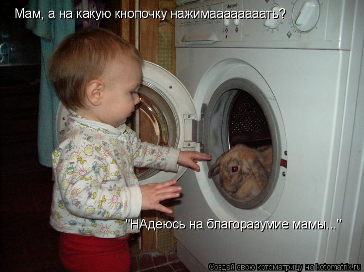 Мам, а на какую кнопочку нажимаааааааать? "НАдеюсь на благоразумие мамы..."... Котоматрица: Мам, а на какую кнопочку нажимаааааааать? "НАдеюсь на благоразумие мамы..."