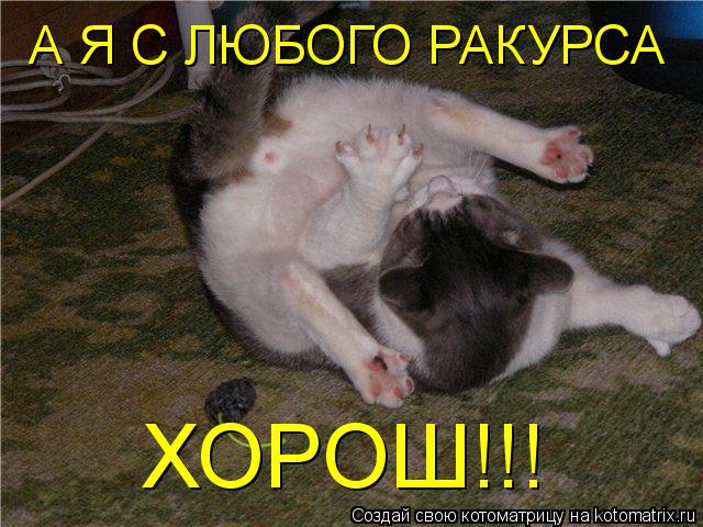 Котоматрица: ХОРОШ!!! А Я С ЛЮБОГО РАКУРСА