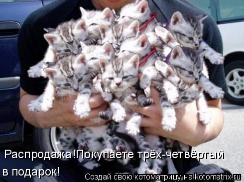 Распродажа!Покупаете трёх-четвёртый в подарок!... Котоматрица: Распродажа!Покупаете трёх-четвёртый в подарок!
