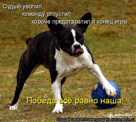 Судью уволил, команду отпустил короче предотвратил я конец игры. Победа всё равно наша!... Котоматрица: Судью уволил, команду отпустил короче предотвратил я конец игры. Победа всё равно наша!