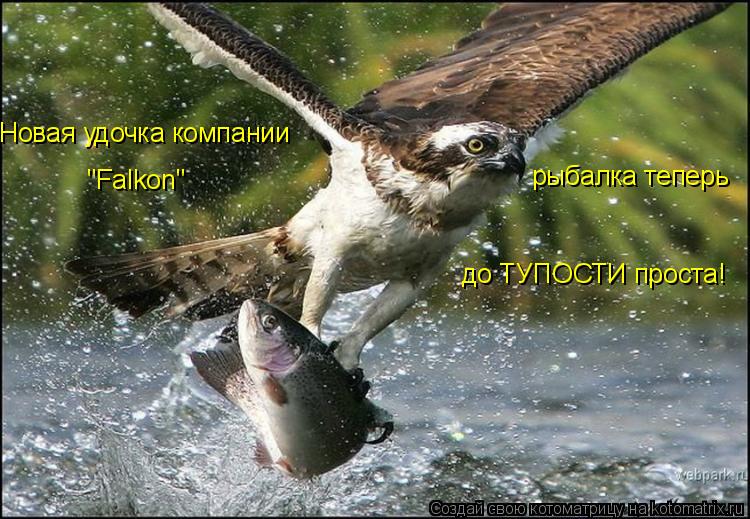Новая удочка компании "Falkon" рыбалка теперь до ТУПОСТИ проста!... Котоматрица: Новая удочка компании "Falkon" рыбалка теперь до ТУПОСТИ проста!