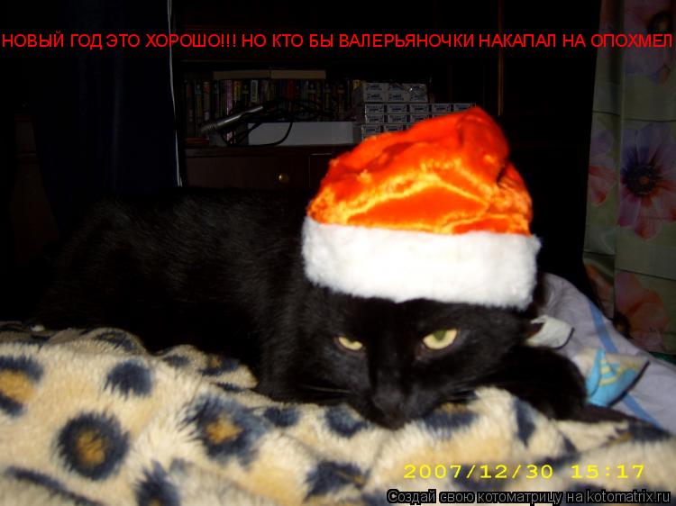 НОВЫЙ ГОД ЭТО ХОРОШО!!! НО КТО БЫ ВАЛЕРЬЯНОЧКИ НАКАПАЛ НА ОПОХМЕЛ... Котоматрица: НОВЫЙ ГОД ЭТО ХОРОШО!!! НО КТО БЫ ВАЛЕРЬЯНОЧКИ НАКАПАЛ НА ОПОХМЕЛ