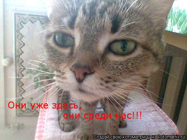Они уже здесь, они среди нас!!!... Котоматрица: Они уже здесь, они среди нас!!!