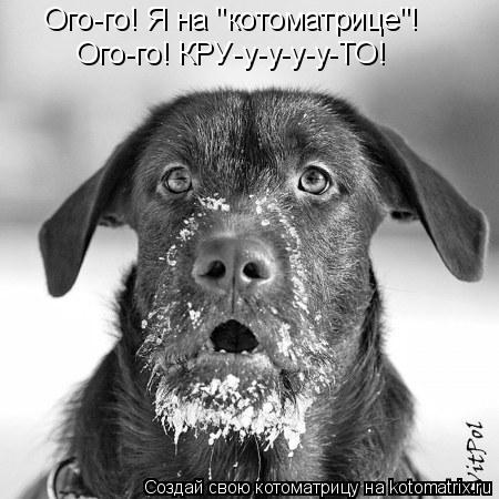 Ого-го! Я на "котоматрице"! Ого-го! КРУ-у-у-у-у-ТО!... Котоматрица: Ого-го! Я на "котоматрице"! Ого-го! КРУ-у-у-у-у-ТО!