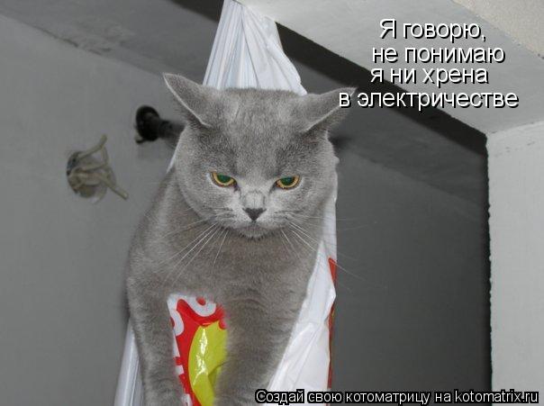 Котоматрица: Я говорю, не понимаю я ни хрена в электричестве