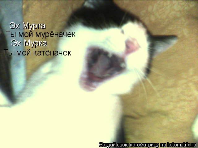 Эх Мурка Ты мой мурёначек Эх Мурка Ты мой катёначек... Котоматрица: Эх Мурка Ты мой мурёначек Эх Мурка Ты мой катёначек