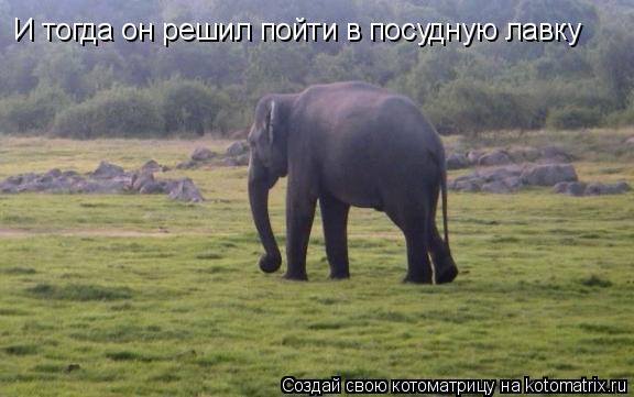 И тогда он решил пойти в посудную лавку... Котоматрица: И тогда он решил пойти в посудную лавку