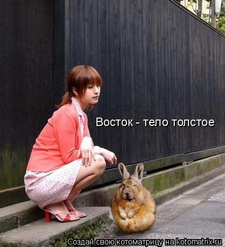 Восток - тело толстое... Котоматрица: Восток - тело толстое
