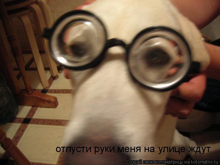 отпусти руки меня на улице ждут... Котоматрица: отпусти руки меня на улице ждут