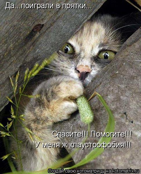 Да...поиграли в прятки... Спасите!!! Помогите!!! У меня ж клаустрофобия!!!... Котоматрица: Да...поиграли в прятки... Спасите!!! Помогите!!! У меня ж клаустрофобия!!!