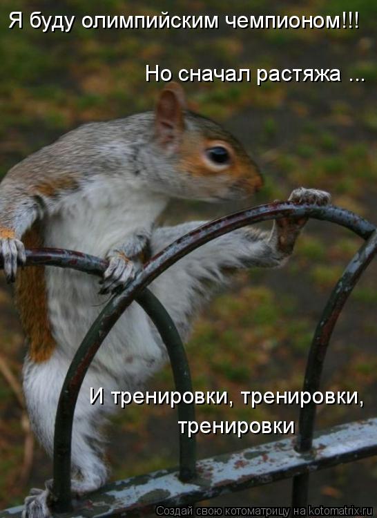 Я буду олимпийским чемпионом!!! Но сначал растяжа ... И тренировки, тренировки, тренировки... Котоматрица: Я буду олимпийским чемпионом!!! Но сначал растяжа ... И тренировки, тренировки, тренировки
