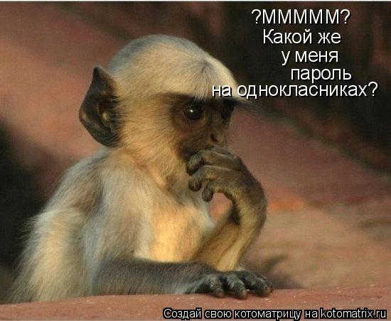 ?МММММ? Какой же у меня пароль на однокласниках?... Котоматрица: ?МММММ? Какой же у меня пароль на однокласниках?