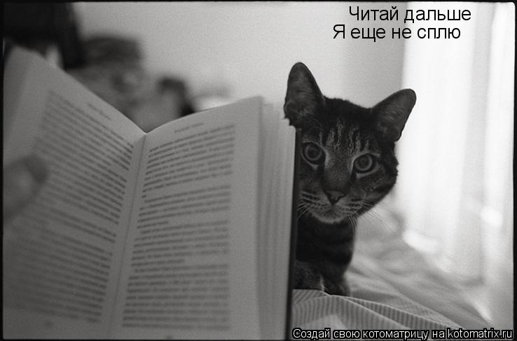 Читай дальше Я еще не сплю... Котоматрица: Читай дальше Я еще не сплю