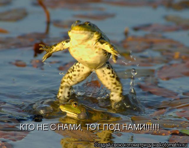 КТО НЕ С НАМИ, ТОТ ПОД НАМИ!!!!!!... Котоматрица: КТО НЕ С НАМИ, ТОТ ПОД НАМИ!!!!!!