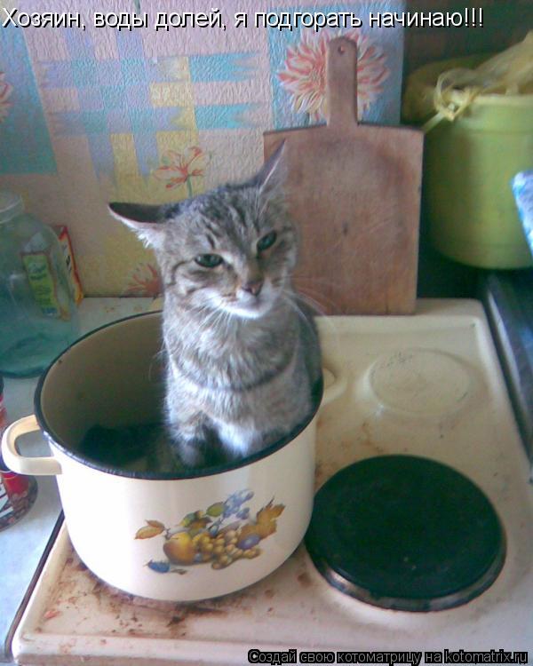 Хозяин, воды долей, я подгорать начинаю!!!... Котоматрица: Хозяин, воды долей, я подгорать начинаю!!!