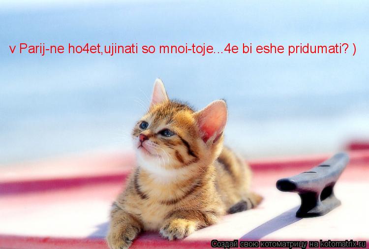 v Parij-ne ho4et,ujinati so mnoi-toje...4e bi eshe pridumati? )... Котоматрица: v Parij-ne ho4et,ujinati so mnoi-toje...4e bi eshe pridumati? )