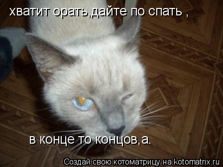 хватит орать,дайте по спать , в конце то концов,а.... Котоматрица: хватит орать,дайте по спать , в конце то концов,а.