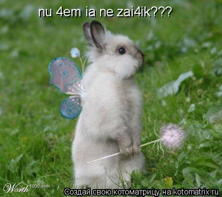 nu 4em ia ne zai4ik???... Котоматрица: nu 4em ia ne zai4ik???