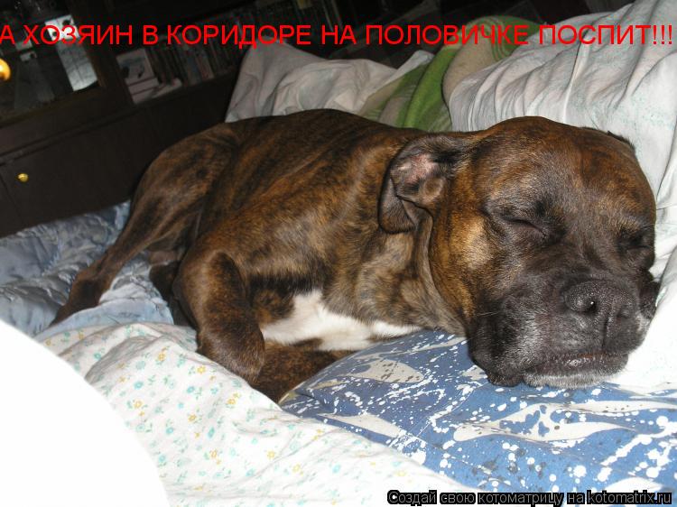 А ХОЗЯИН В КОРИДОРЕ НА ПОЛОВИЧКЕ ПОСПИТ!!!... Котоматрица: А ХОЗЯИН В КОРИДОРЕ НА ПОЛОВИЧКЕ ПОСПИТ!!!