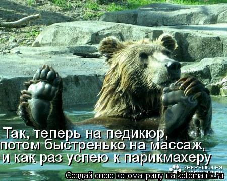 Так, теперь на педикюр, потом быстренько на массаж, и как раз успею к парикмахеру... Котоматрица: Так, теперь на педикюр, потом быстренько на массаж, и как раз успею к парикмахеру