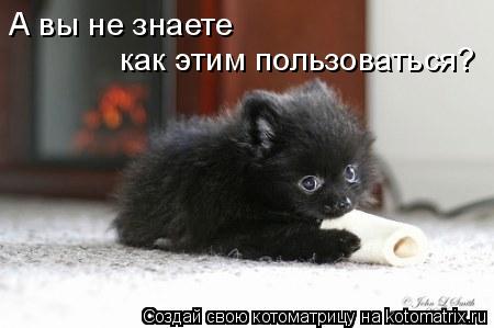 А вы не знаете как этим пользоваться?... Котоматрица: А вы не знаете как этим пользоваться?