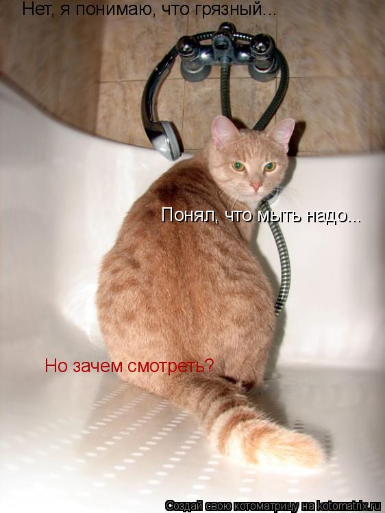 Нет, я понимаю, что грязный... Понял, что мыть надо... Но зачем смотреть?... Котоматрица: Нет, я понимаю, что грязный... Понял, что мыть надо... Но зачем смотреть?