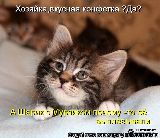 http://kotomatrix.ru/images/lolz/2008/10/11/dv.jpg