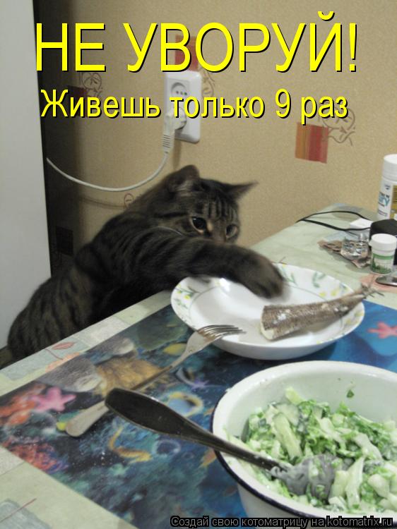 НЕ УВОРУЙ! Живешь только 9 раз... Котоматрица: НЕ УВОРУЙ! Живешь только 9 раз