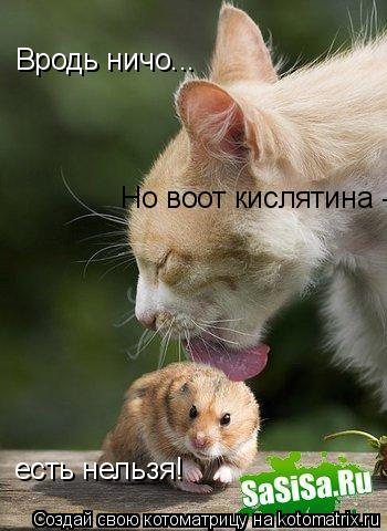 Вродь ничо... Но воот кислятина - есть нельзя!... Котоматрица: Вродь ничо... Но воот кислятина - есть нельзя!