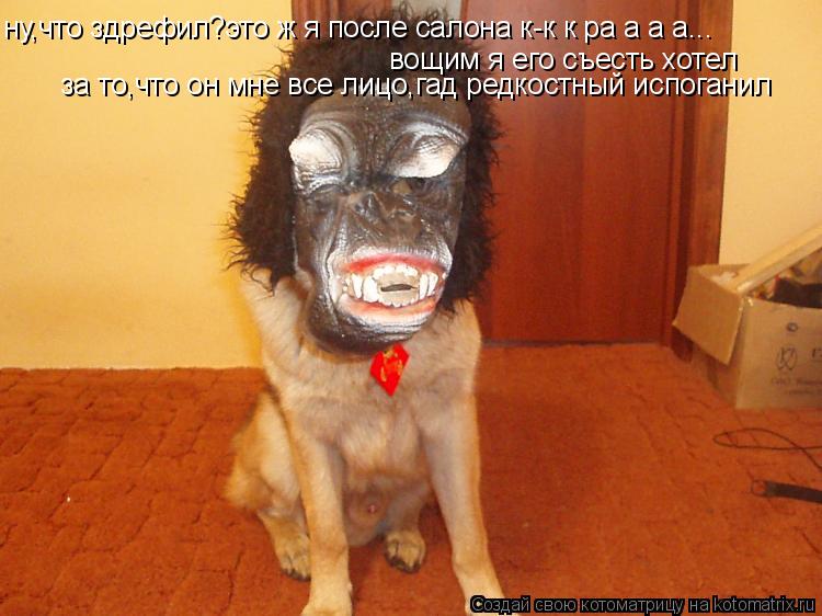 ну,что здрефил?это ж я после салона к-к к ра а а а... вощим я его съесть хотел за то,что он мне все л... Котоматрица: ну,что здрефил?это ж я после салона к-к к ра а а а... вощим я его съесть хотел за то,что он мне все лицо,гад редкостный испоганил