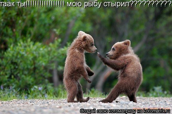 таак ты!!!!!!!!!!!!!!!!! мою рыбу стырил????????????????... Котоматрица: таак ты!!!!!!!!!!!!!!!!! мою рыбу стырил????????????????
