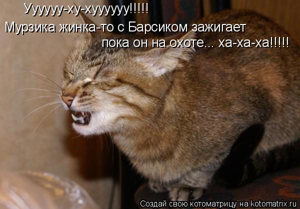Уууууу-ху-хуууууу!!!!! Мурзика жинка-то с Барсиком зажигает пока он на охоте... ха-ха-ха!!!!!... Котоматрица: Уууууу-ху-хуууууу!!!!! Мурзика жинка-то с Барсиком зажигает пока он на охоте... ха-ха-ха!!!!!