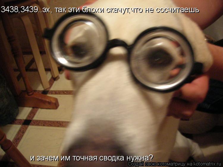 и зачем им точная сводка нужна? 3438,3439..эх, так эти блохи скачут,что не сосчитаешь... Котоматрица: и зачем им точная сводка нужна? 3438,3439..эх, так эти блохи скачут,что не сосчитаешь