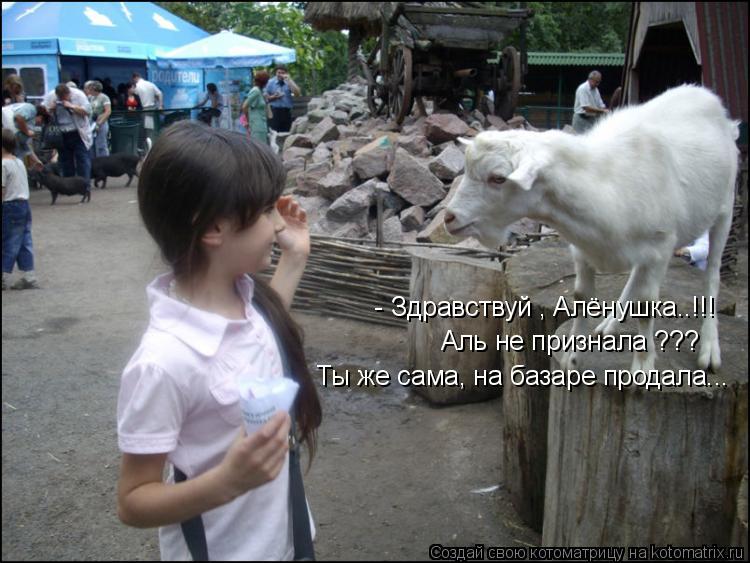 - Здравствуй , Алёнушка..!!! Аль не признала ??? Ты же сама, на базаре продала...... Котоматрица: - Здравствуй , Алёнушка..!!! Аль не признала ??? Ты же сама, на базаре продала...