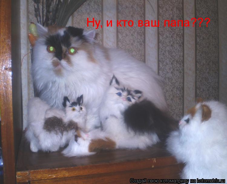Ну, и кто ваш папа???... Котоматрица: Ну, и кто ваш папа???