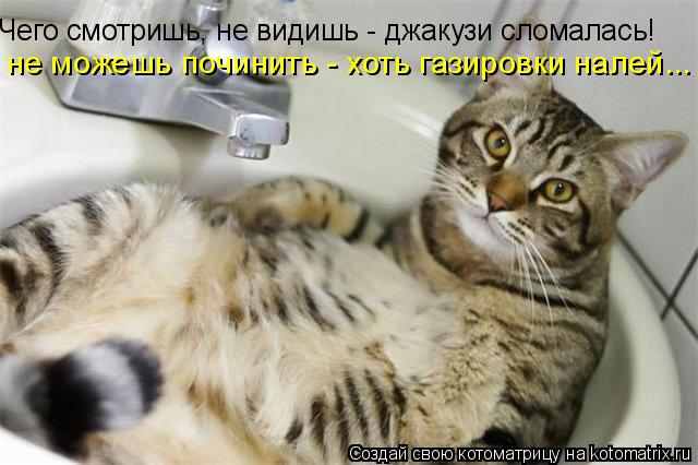 Чего смотришь, не видишь - джакузи сломалась! не можешь починить - хоть газировки налей...... Котоматрица: Чего смотришь, не видишь - джакузи сломалась! не можешь починить - хоть газировки налей...